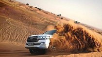Dubai 6-Hour Desert Safari Tour With Private Car