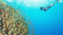 The Best Places Where to Snorkel and Dive