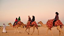 Dubai Desert Safari with Camel Riding and Belly Dance