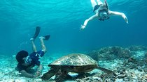 Snorkeling with Turtles on Gili Trawangan