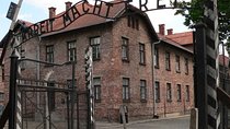 One day tour to Auschwitz-Birkenau & Salt Mine from Krakow with private driver 