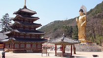 Songnisan National Park & Beopjusa Temple UNESCO site Private Tour