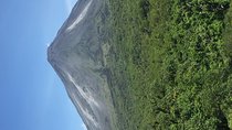 Arenal Volcano Hiking trail Observatory& Hot Spring+ lunch buffet