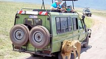 11 Days Best of Kenya & Tanzania Big 5 Safari on 4x4 Jeep