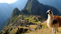 Machu Picchu Private Service