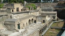Private full day tour Pompei Mt Vesuvio and winery 