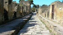 Private full day tour Herculaneum ruins Mt Vesuvio and Winery 
