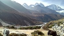 5 Days Amazing Everest View Trek from Kathmandu