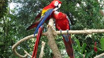 Auto Safari Chapin Drive-Through Nature Park & Zoo from Puerto Quetzal