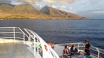 Maui Premium Dinner Cruise: Four Course Dining Experience