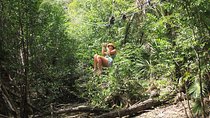 Riviera Maya Jungle Half-Day Tour: ATV, Ziplines, Cenote Swim, Rappel