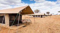2-Day Wildlife & Lodge Safari in Tanzania