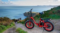 Dublin Panoramic e-Bike Tour with Howth Adventures