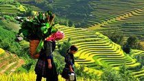 Sa Pa 2-Day Moderate Trek and Homestay Limousine Tour from Hanoi