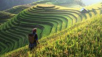 Sapa Trekking 3 Days 2 Nights by Bus - Homestay & Hotel
