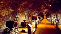 Champagne Day Tour with Reims, Cellars Visit & Champagne Tasting from Paris