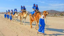 From Agadir or Taghazout or Port 2 Hours Camel Ride