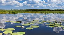 Danube Delta - 2-Days Shared Tour from Bucharest