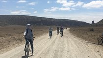 1 Day Hells Gate Biking Safari