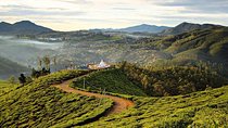 Guided Hike to Single Tree Hills from Nuwara Eliya