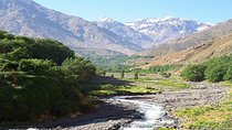 Private Day Trip to Ourika Waterfalls and Atlas Mountains