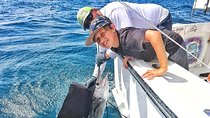 Miami Big Game Deep Sea Fishing Charter