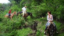 Overnight Horseback Riding Adventure