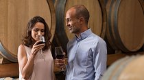 Small Group Napa and Sonoma Half-Day Wine Tour from San Francisco