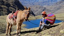 4 Day Lares Trek To Machu Picchu - Private Service