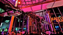 California Academy of Sciences NightLife Admission Ticket