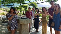 Douro Valley for Wine Lovers with Visit to 3 Vineyards and Lunch at a Winery