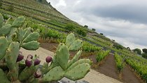 Etna Classic & Winery (day trip)
