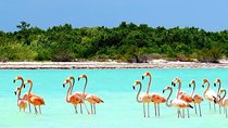  Holbox plus Island Magic by boat Tour from Cancun 