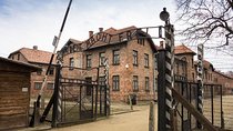 Krakow: Auschwitz-Birkenau & Salt Mine OneDay Tour (hotel pickup)