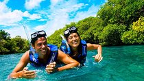 Xelha Snorkel Adventure! Gorgeous & Natural From Playa Del Carmen