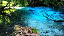 Half Day Jungle Tour to Emerald pool and Krabi Hot Spring