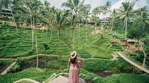 All inclusive Private 3 day tours package : Bali highlights