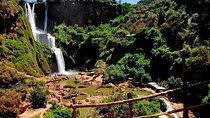 Private day trip from Marrakech to Ouzoud waterfalls