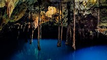 Sacred Adventure at Xenotes! 4 Different Cenotes + Round Transportation