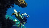 Scuba Diving 2 Stops Boat Trip for beginners & Lunch :Marsa Alam
