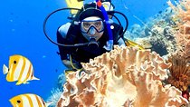 Hurghada: PADI Advanced Diving Course With Transfer and Lunch 