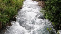 Private tour of the Israeli Far North - Tel Dan, Banias Reserve & Waterfall