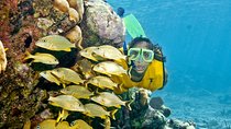 Mayan Adventure Snorkeling Tour from Playa del Carmen or Riviera Maya