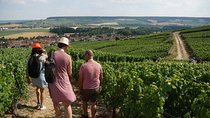 Gourmet walk in the heart of the vineyards with Champagne tasting near Epernay
