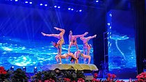 Beijing Traditional Hot Pot Dinner and VIP seated Acrobatic show