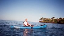 South Shore Turtle Kayak and Snorkel Experience