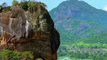 Day tour to Sigiriya & Dambulla from Kandy