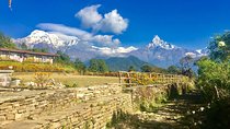 Best Short 5 days Trek Pokhara-Dhampus-Sarangkot 