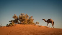 4 Days Merzouga Desert from Marrakech