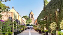 Full-Day Tequila, Jalisco from Puerto Vallarta with Tequila Experience